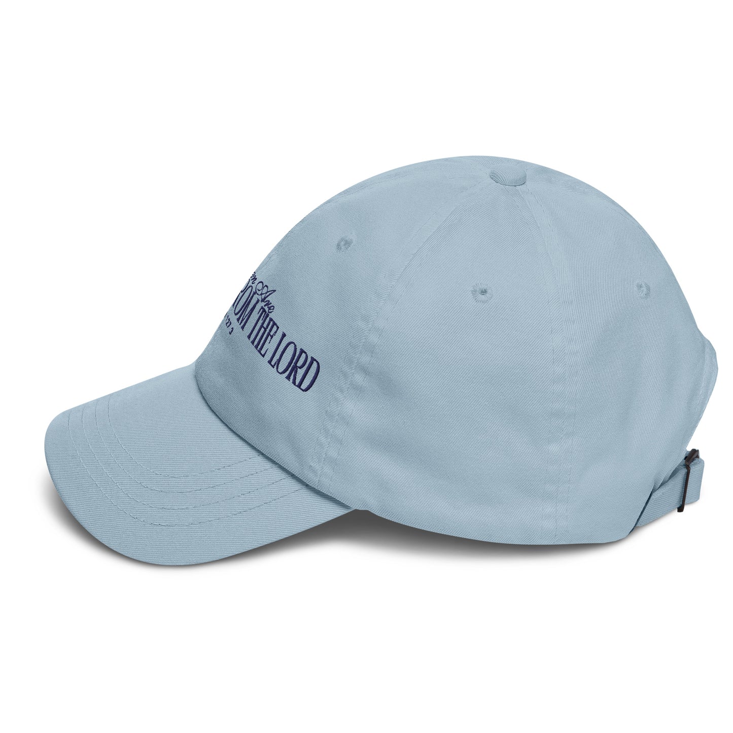 Heritage from the Lord - Baseball Cap in Sky/Ivory