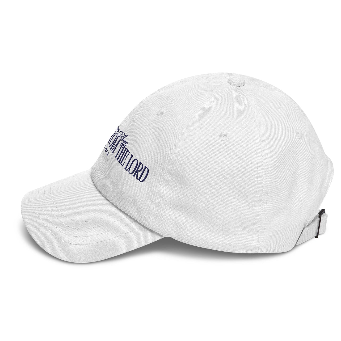 Heritage from the Lord - Baseball Cap in Sky/Ivory